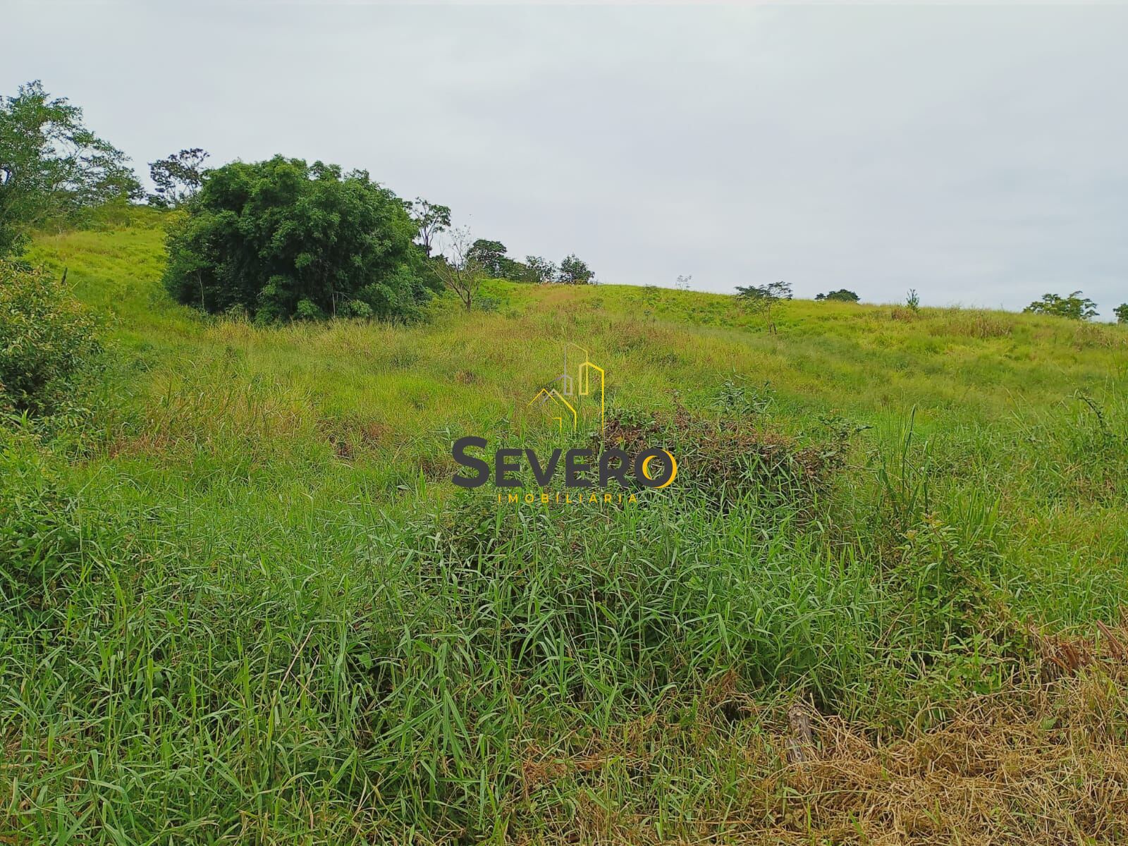 Terreno, 623 m² - Foto 5
