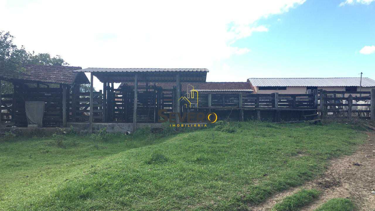 Fazenda à venda com 4 quartos, 125700m² - Foto 47