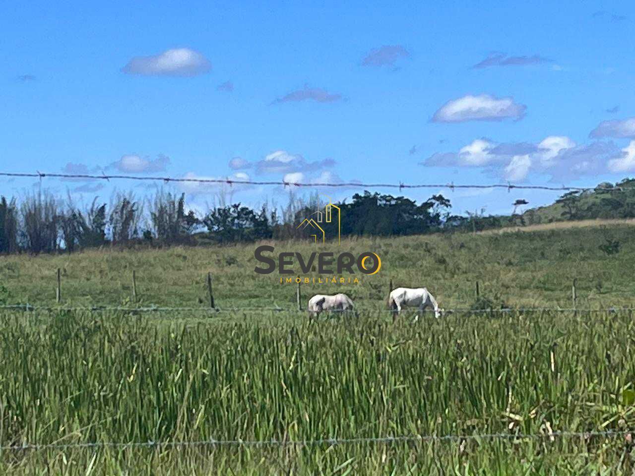 Fazenda à venda com 4 quartos, 125700m² - Foto 37