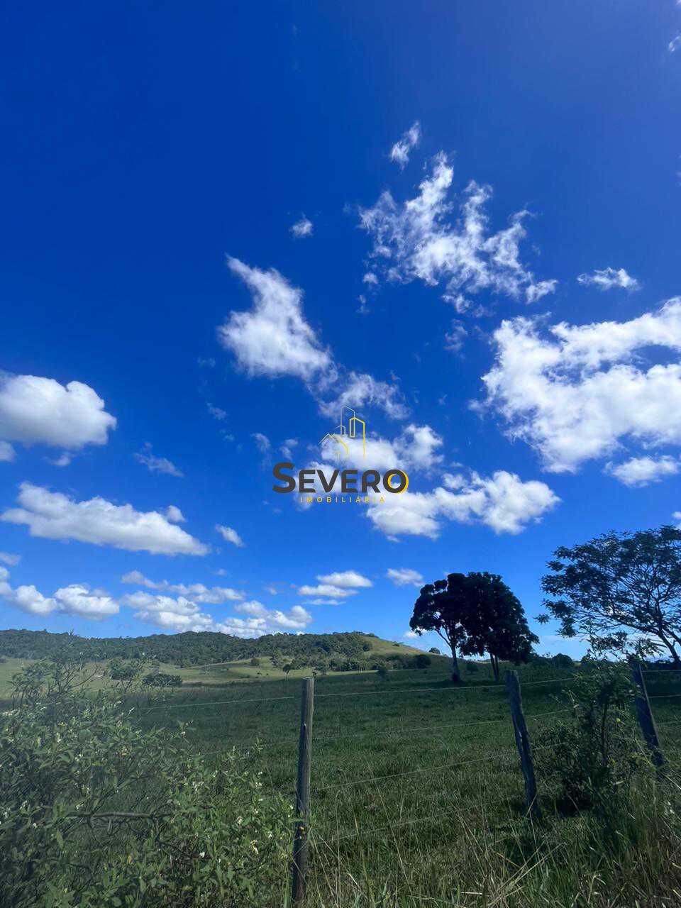 Fazenda à venda com 4 quartos, 125700m² - Foto 45