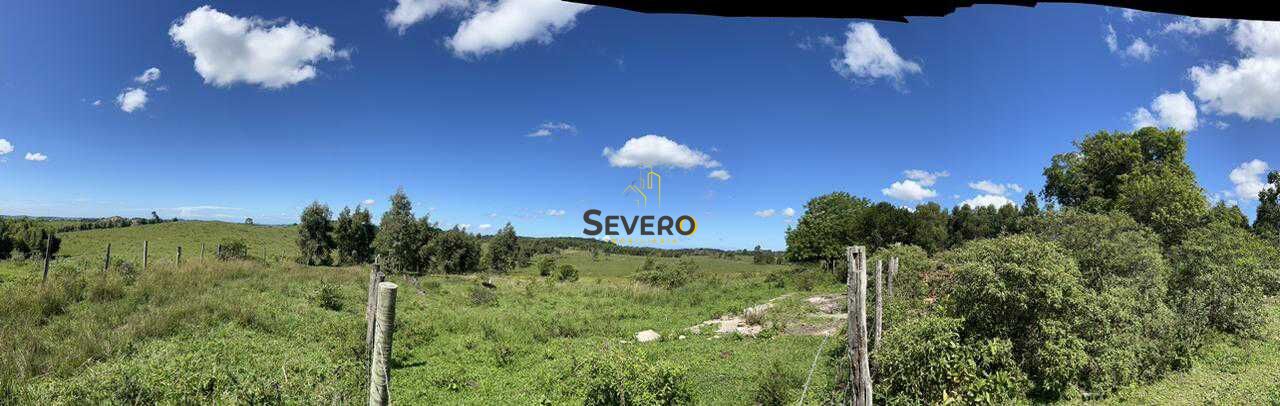 Fazenda à venda com 4 quartos, 125700m² - Foto 43