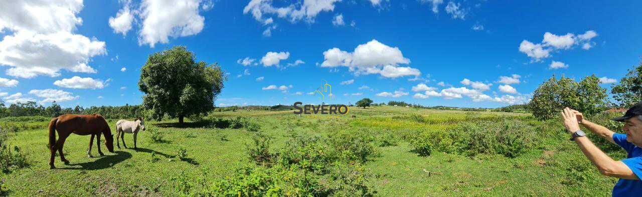 Fazenda à venda com 4 quartos, 125700m² - Foto 17