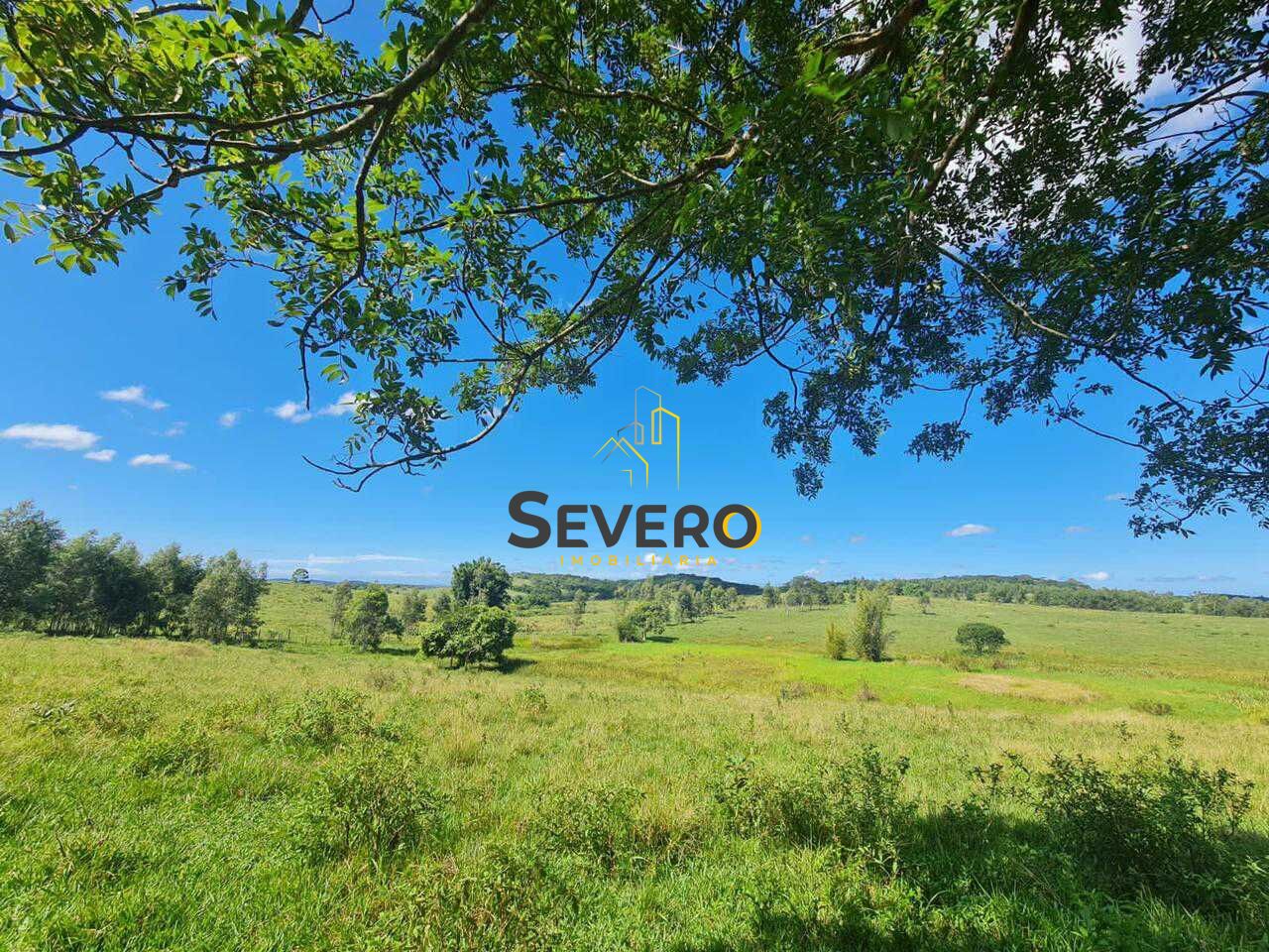 Fazenda à venda com 4 quartos, 125700m² - Foto 35