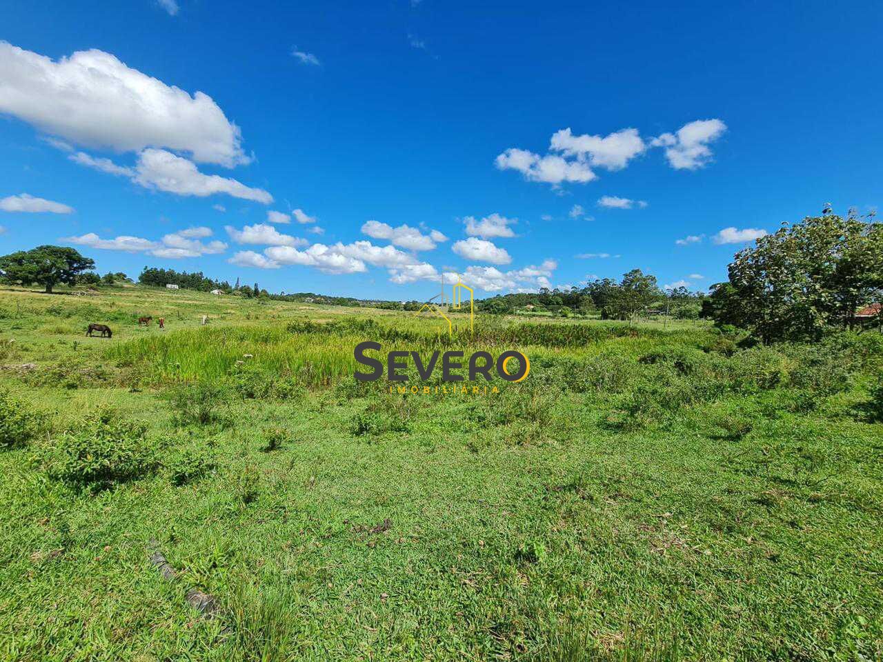 Fazenda à venda com 4 quartos, 125700m² - Foto 3