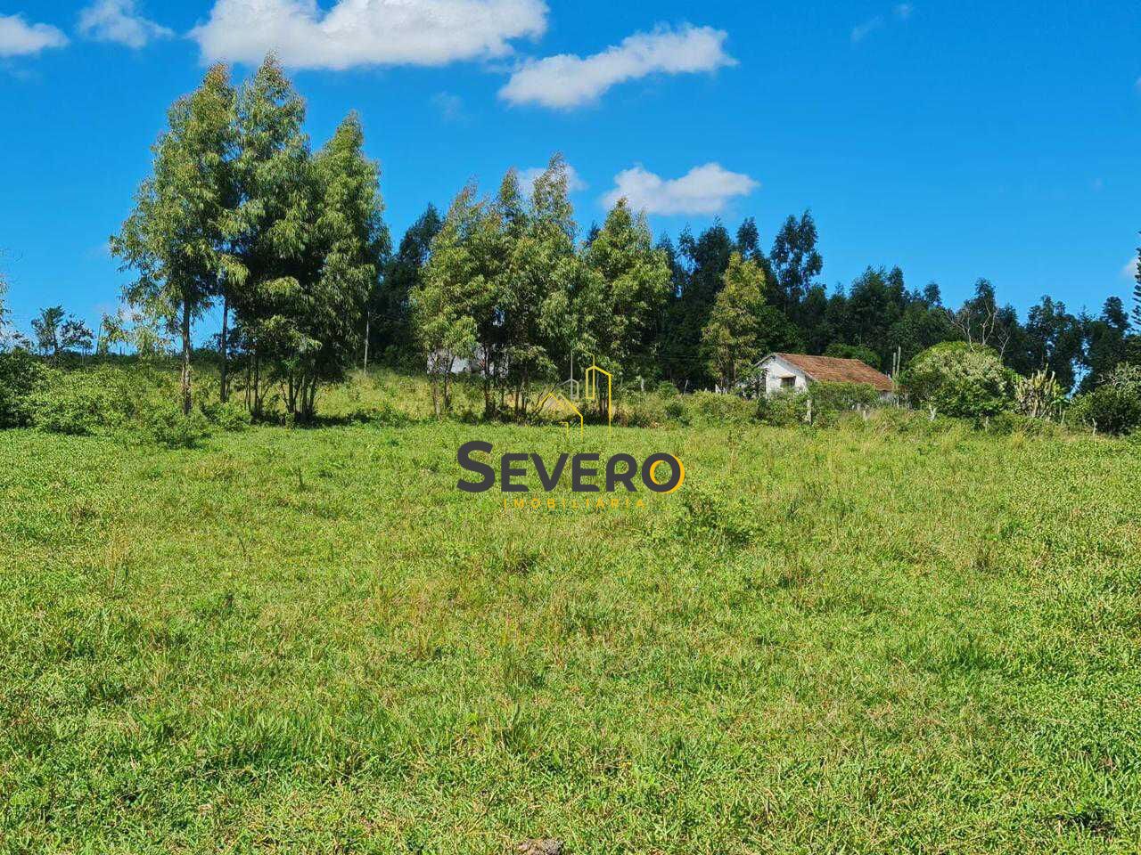 Fazenda à venda com 4 quartos, 125700m² - Foto 5