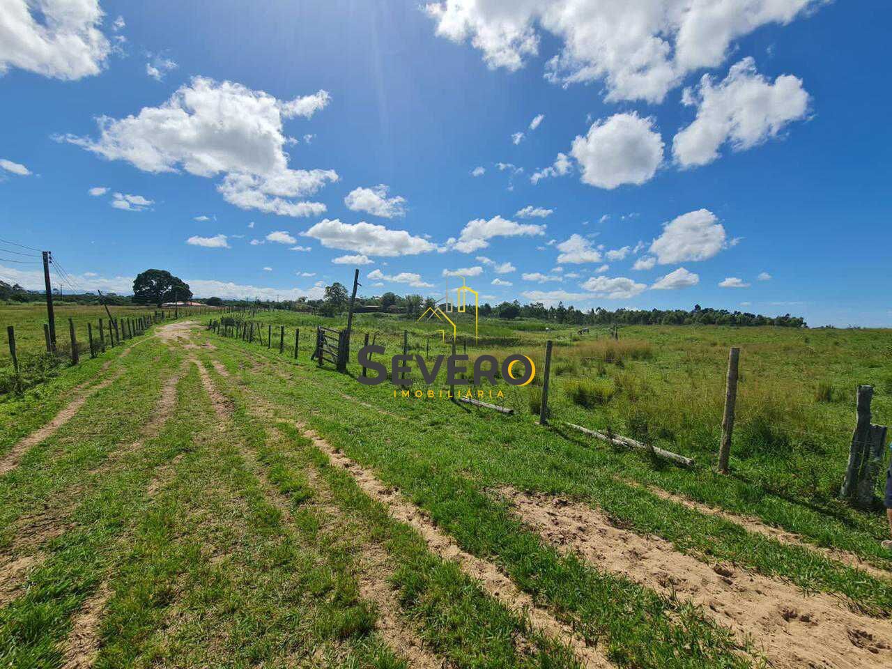 Fazenda à venda com 4 quartos, 125700m² - Foto 6