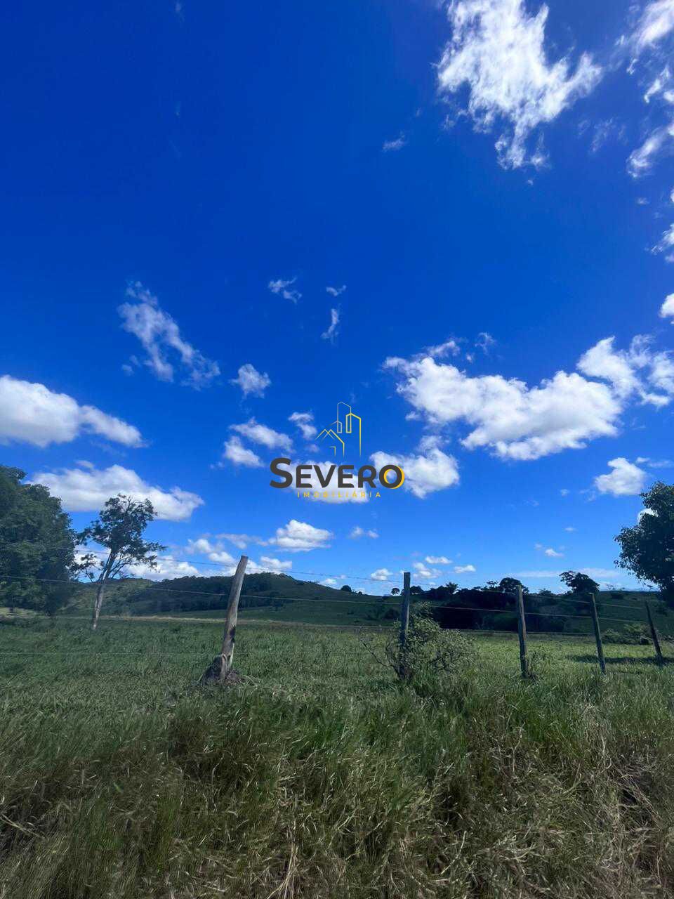 Fazenda à venda com 4 quartos, 125700m² - Foto 16