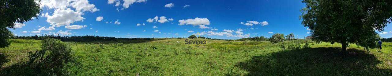 Fazenda à venda com 4 quartos, 125700m² - Foto 41