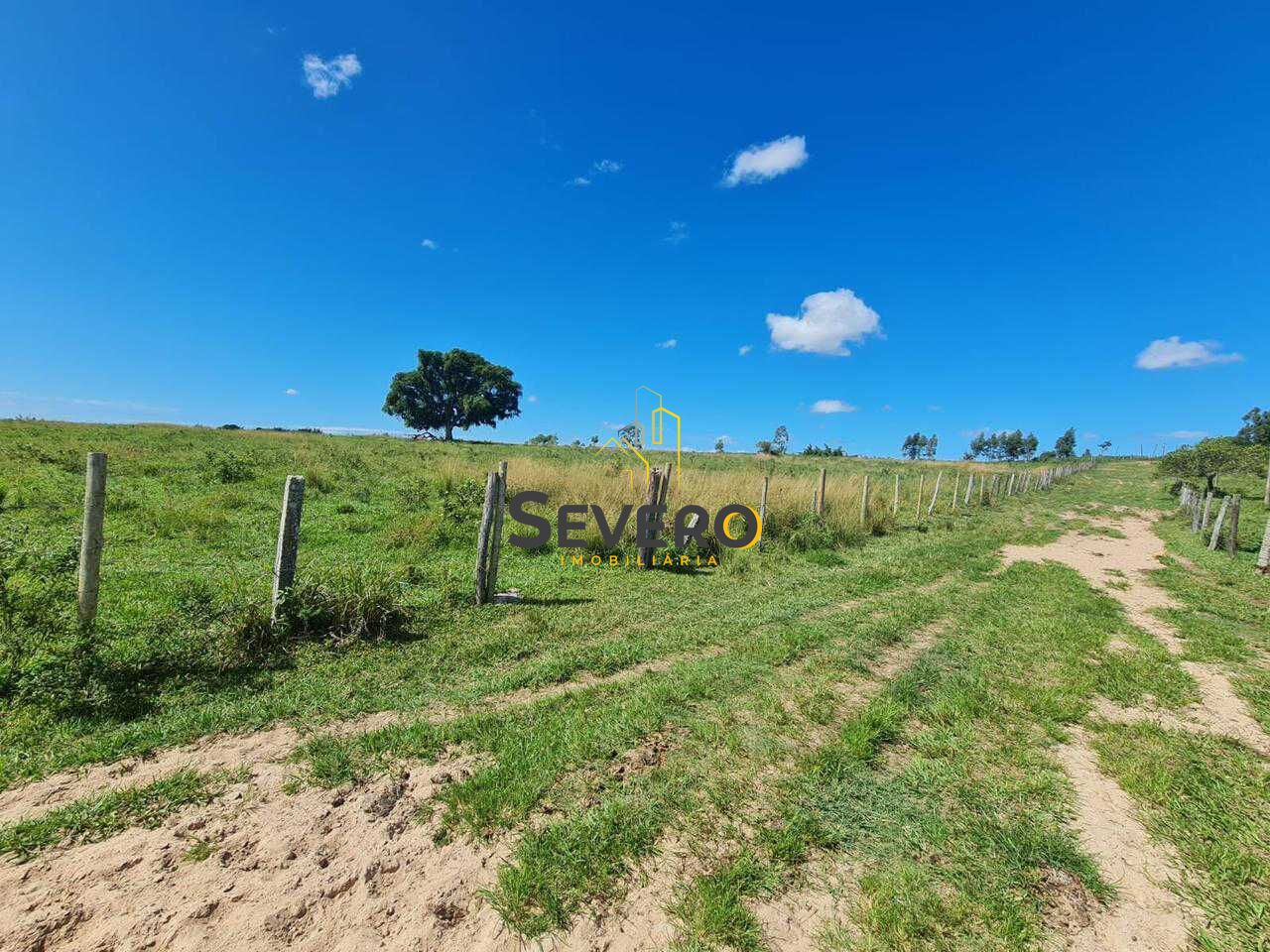 Fazenda à venda com 4 quartos, 125700m² - Foto 38
