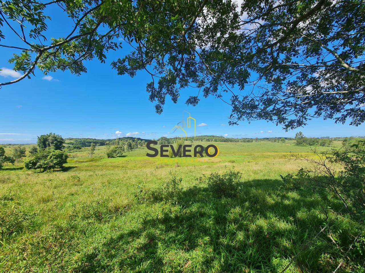 Fazenda à venda com 4 quartos, 125700m² - Foto 34