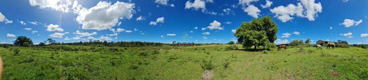 Fazenda à venda com 4 quartos, 125700m² - Foto 23