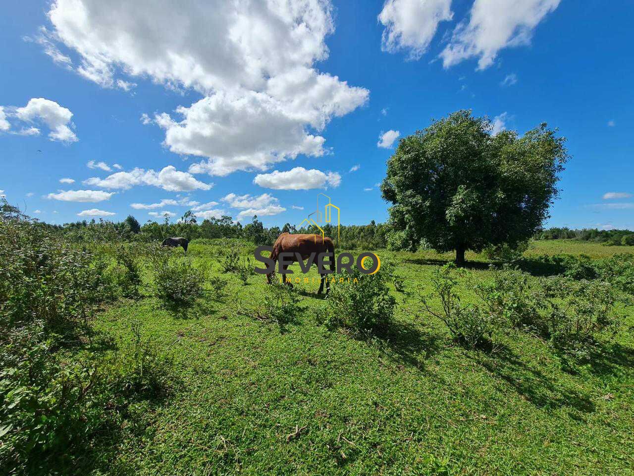 Fazenda à venda com 4 quartos, 125700m² - Foto 25