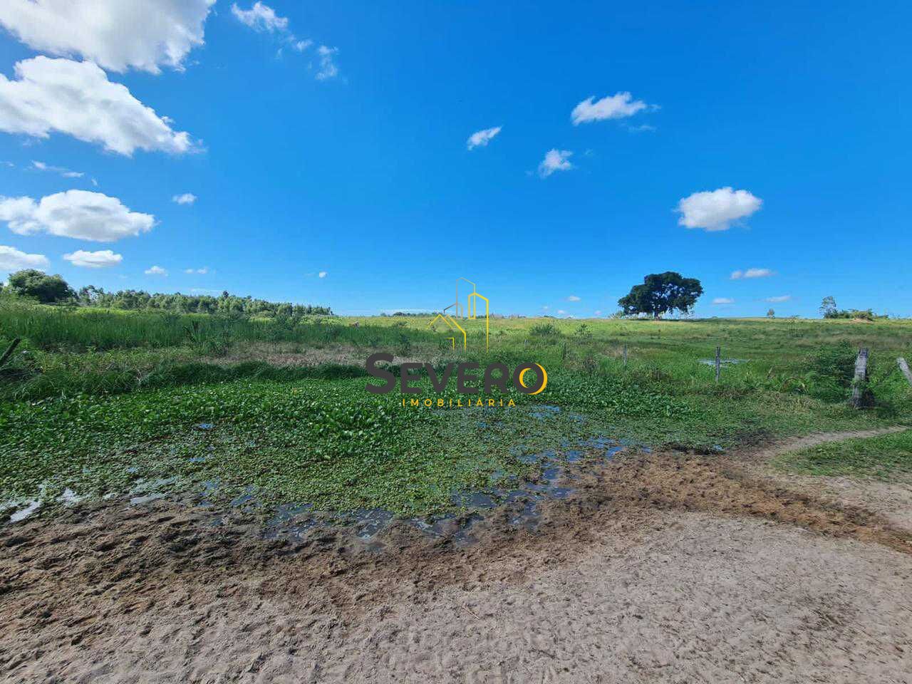 Fazenda à venda com 4 quartos, 125700m² - Foto 4