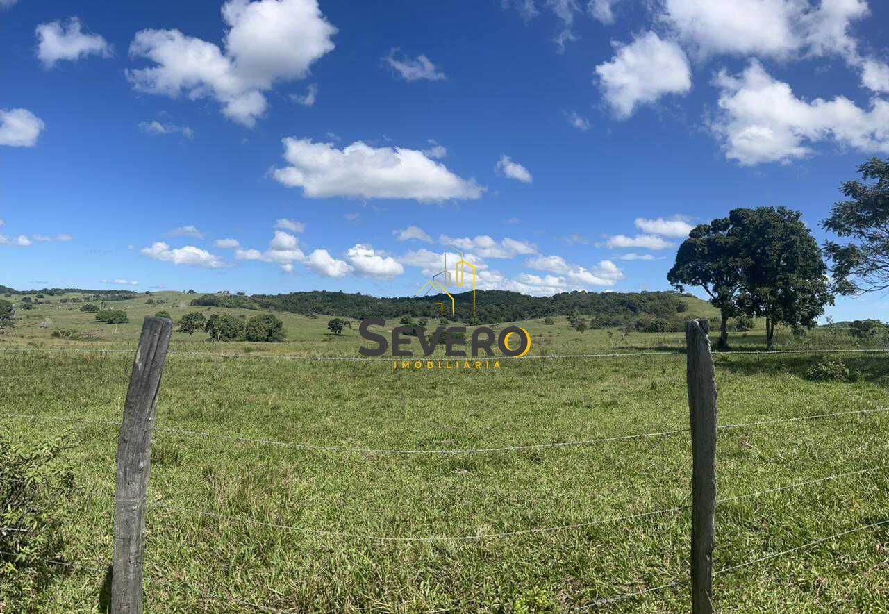 Fazenda à venda com 4 quartos, 125700m² - Foto 21