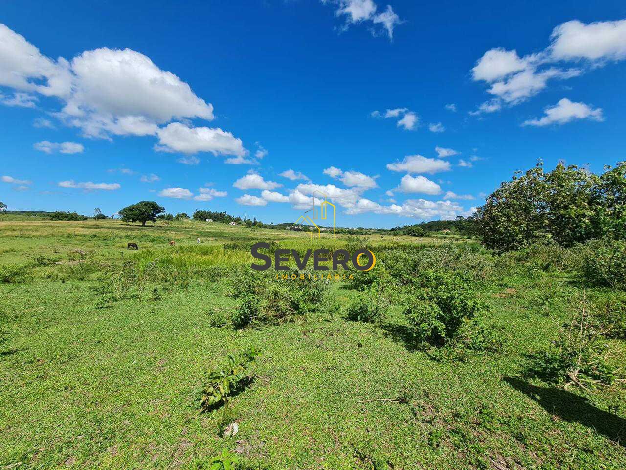 Fazenda à venda com 4 quartos, 125700m² - Foto 13