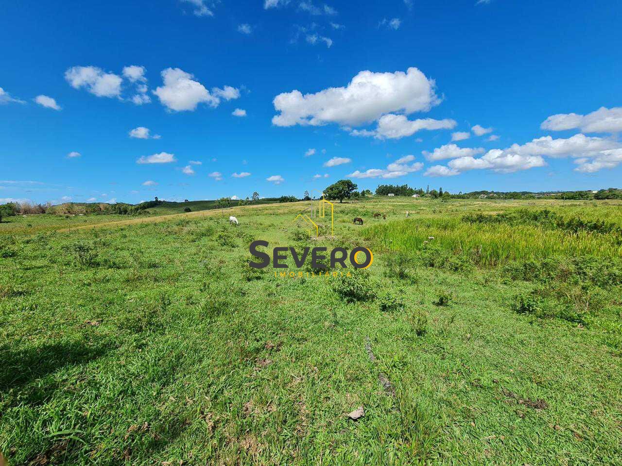 Fazenda à venda com 4 quartos, 125700m² - Foto 9