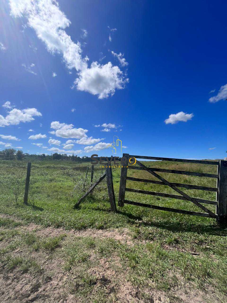 Fazenda à venda com 4 quartos, 125700m² - Foto 2