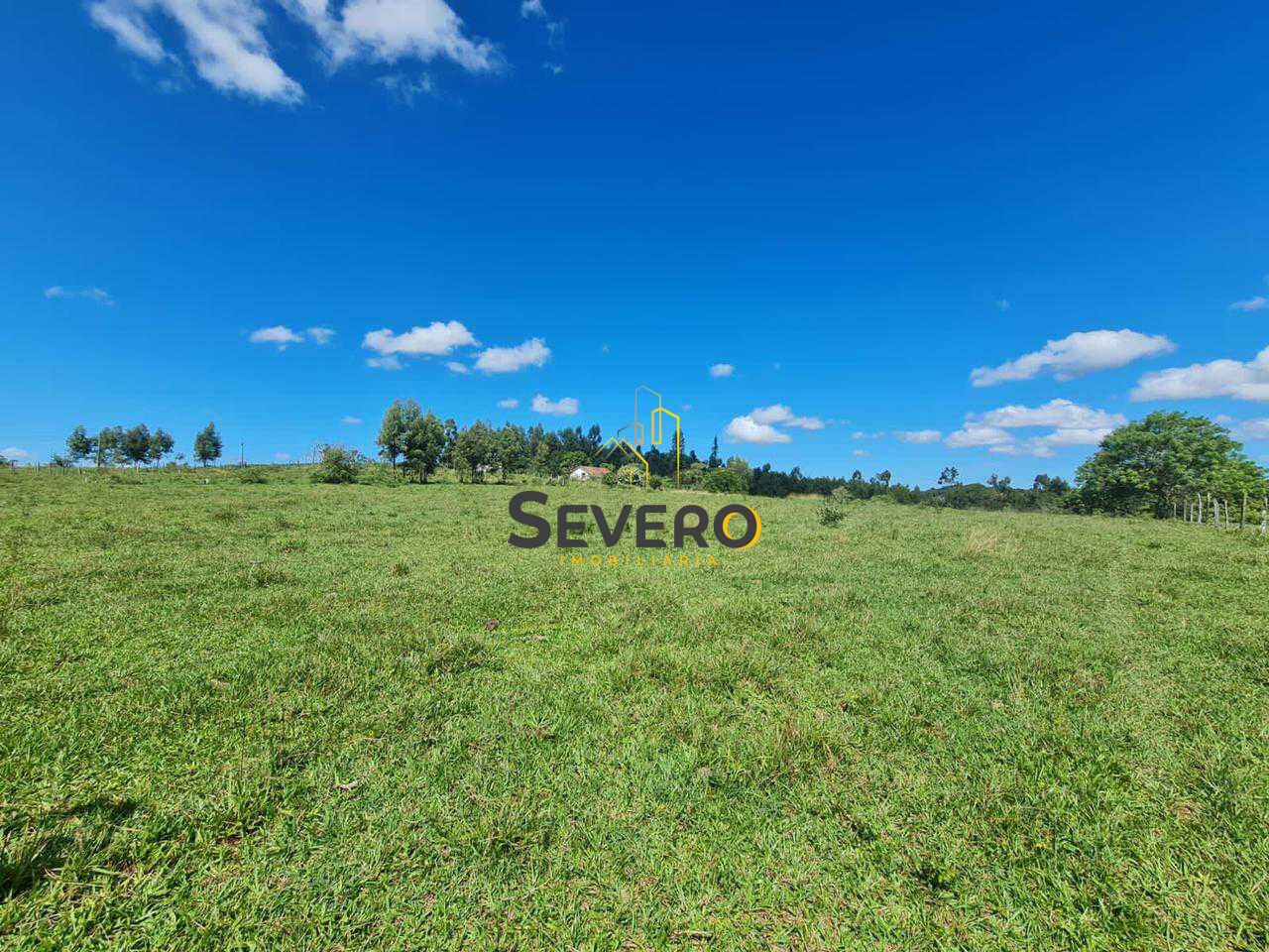 Fazenda à venda com 4 quartos, 125700m² - Foto 18