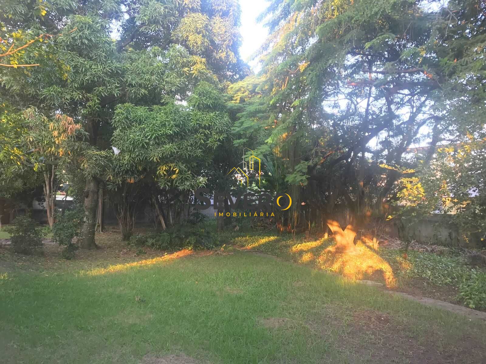 Fazenda à venda com 5 quartos, 1859m² - Foto 14