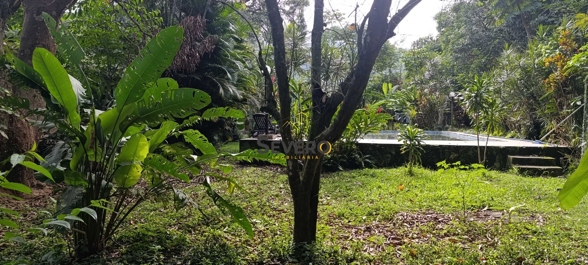 Sítio à venda com 3 quartos, 3100m² - Foto 35
