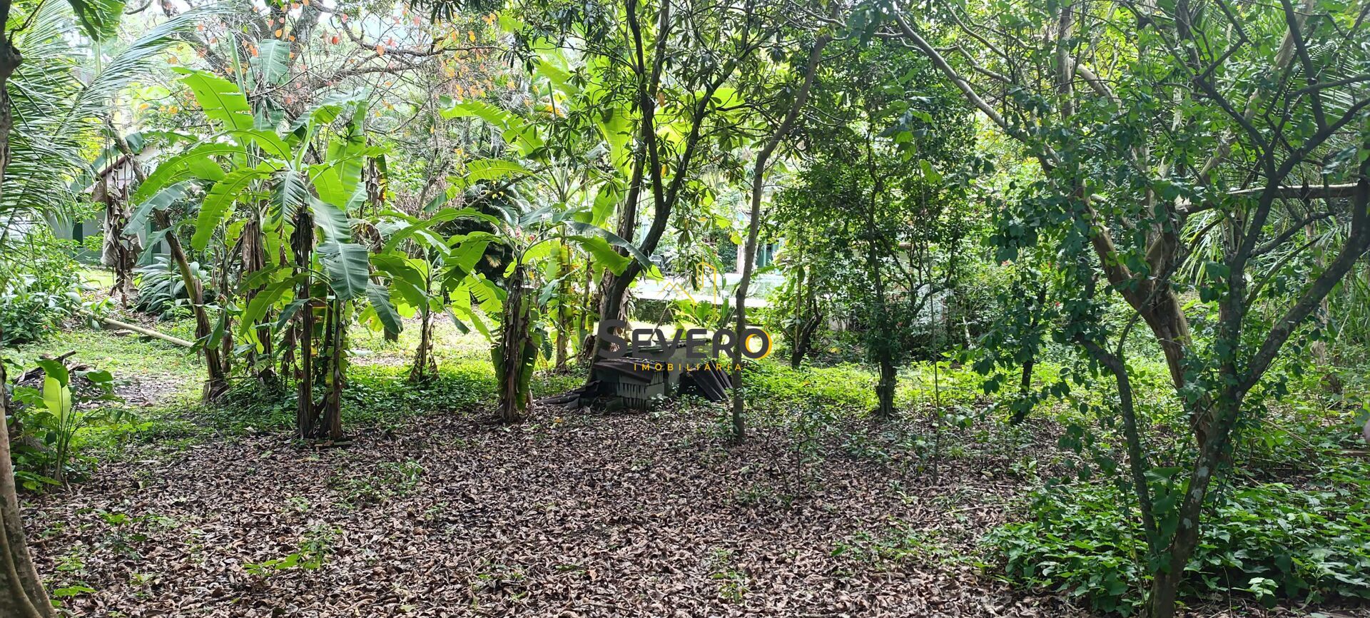 Sítio à venda com 3 quartos, 3100m² - Foto 39