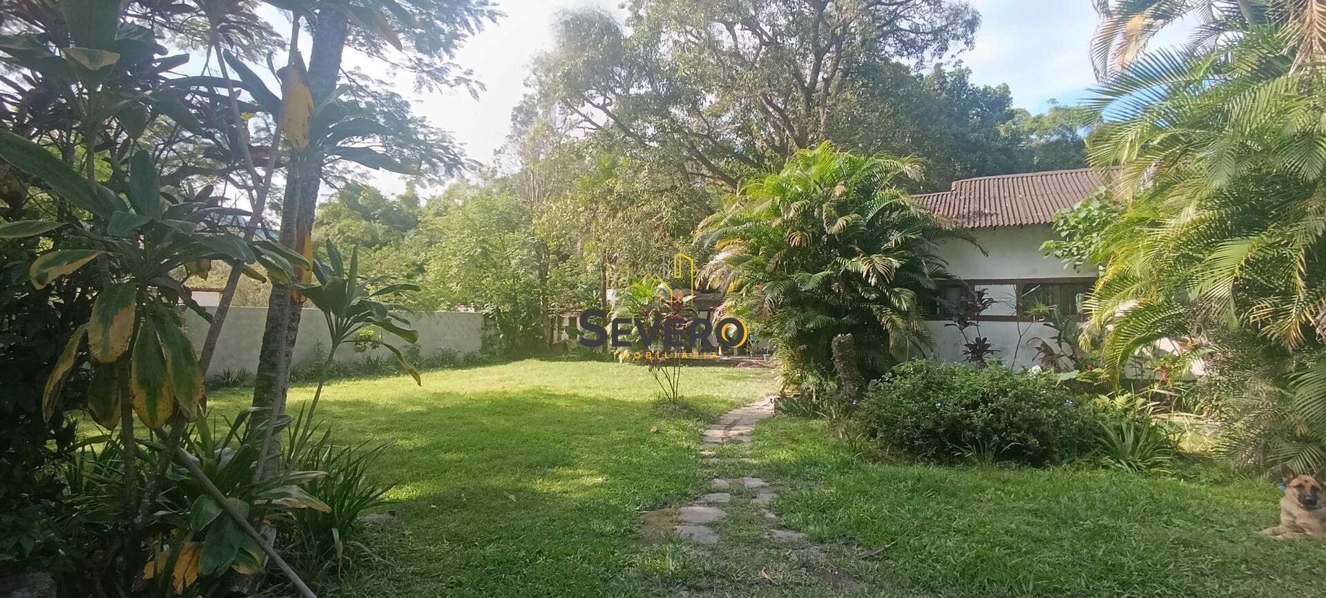 Sítio à venda com 3 quartos, 3100m² - Foto 4