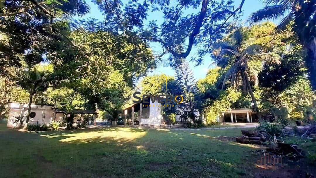 Sítio à venda com 3 quartos, 3100m² - Foto 47