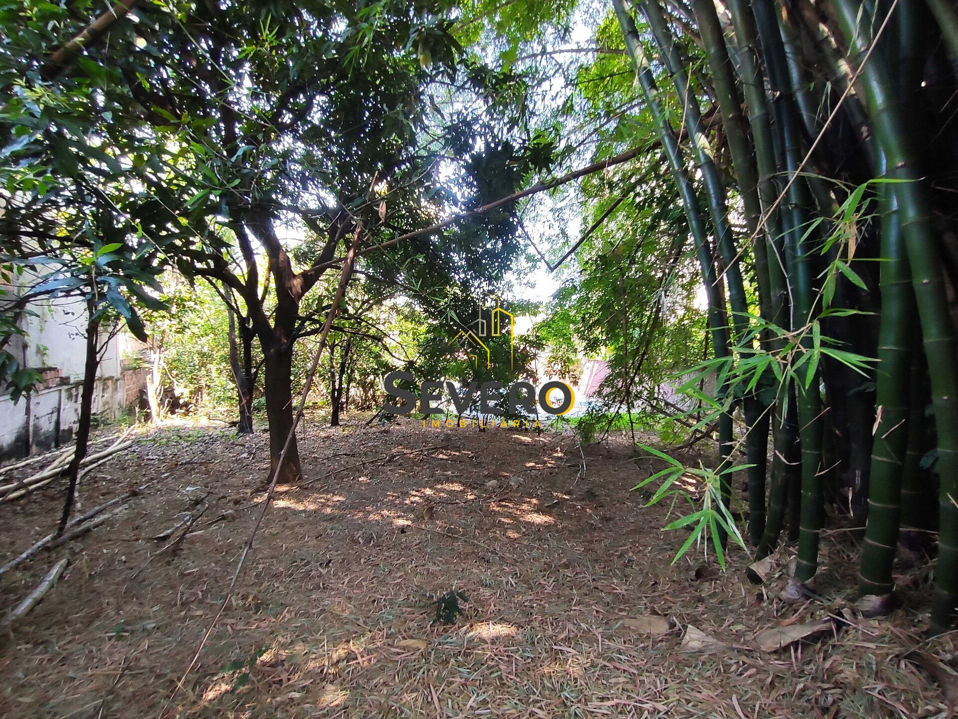 Terreno à venda, 2500m² - Foto 5