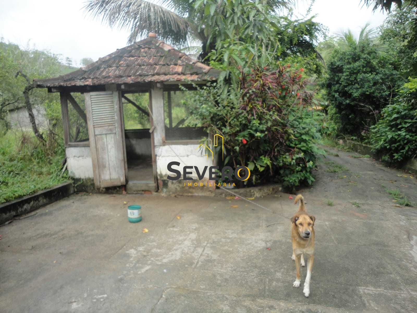 Fazenda à venda com 2 quartos, 9985m² - Foto 9