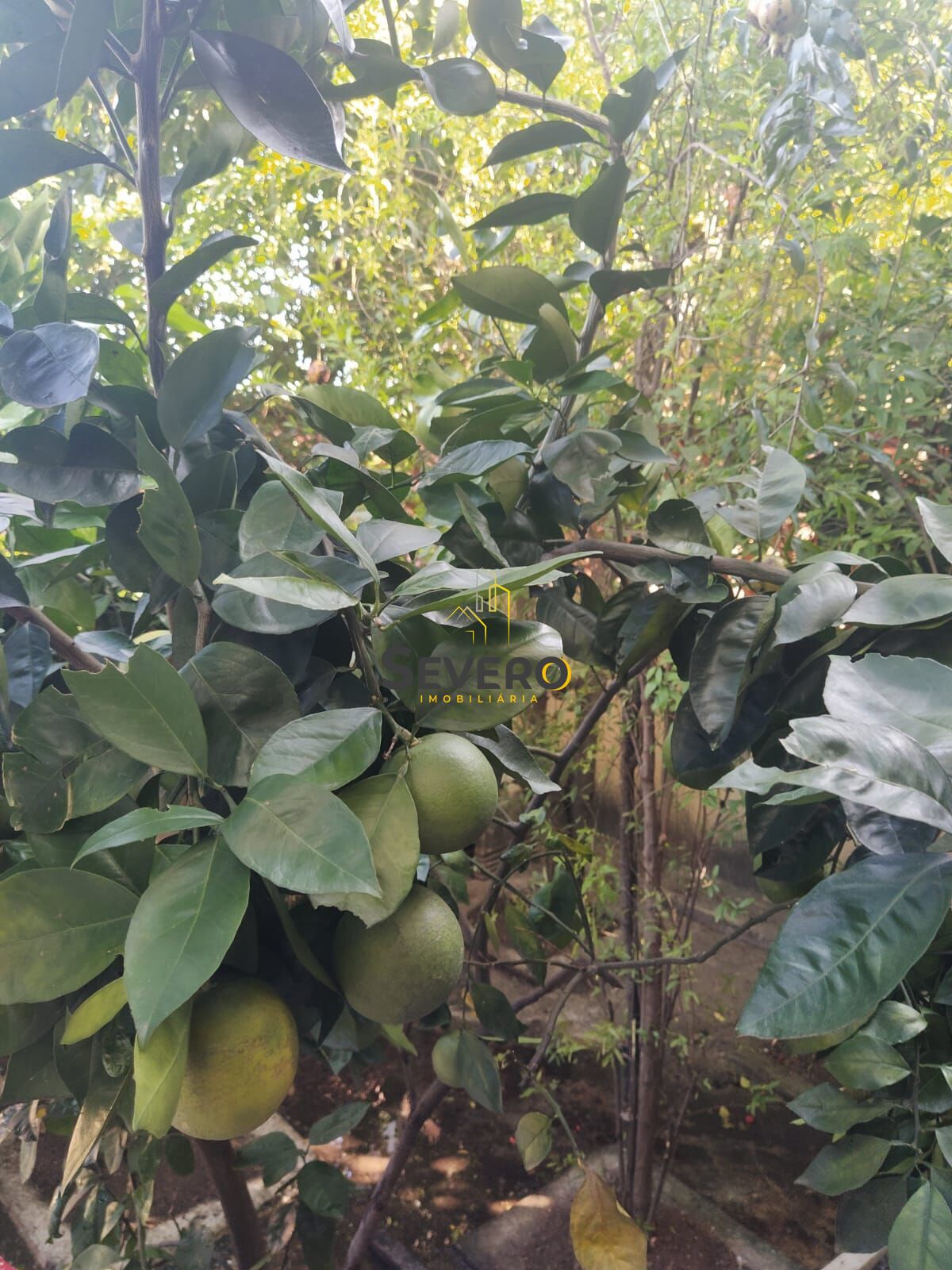 Casa, 3 quartos, 272 m² - Foto 17