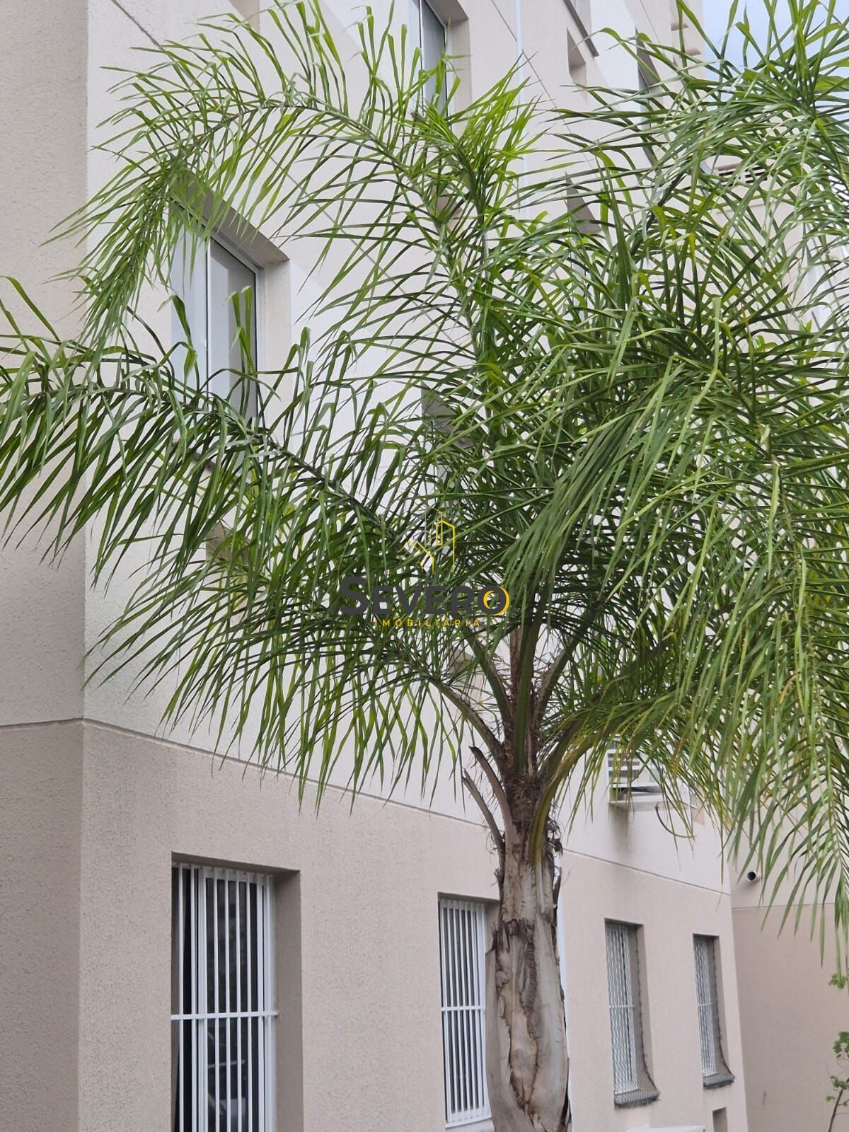 Apartamento, 2 quartos, 45 m² - Foto 25