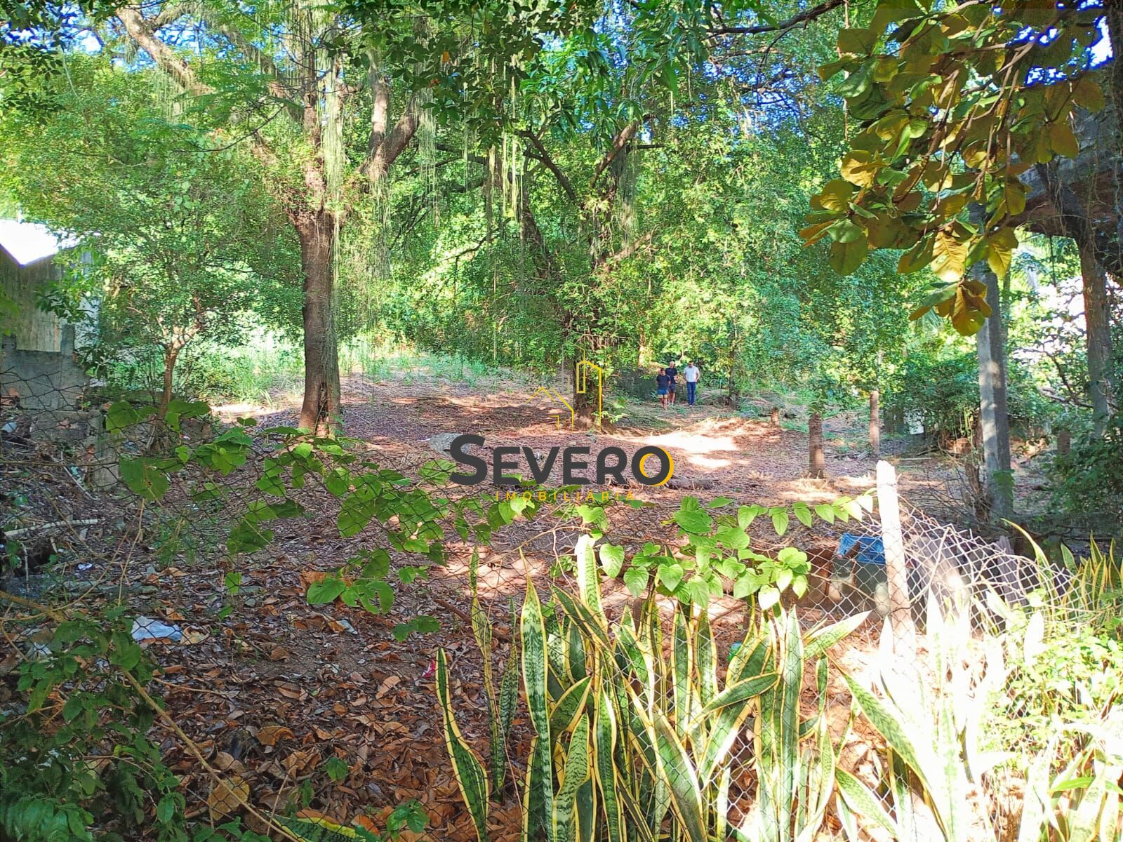Terreno, 1800 m² - Foto 15