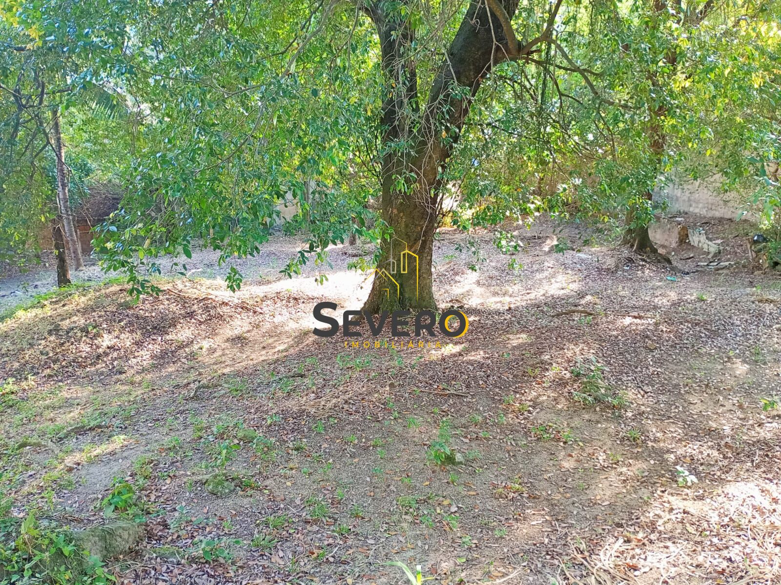 Terreno, 1800 m² - Foto 10