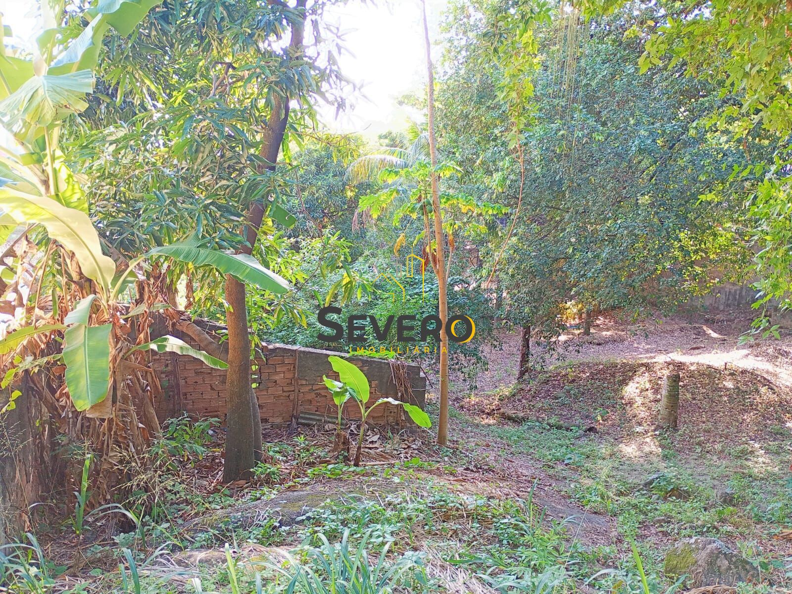 Terreno, 1800 m² - Foto 8