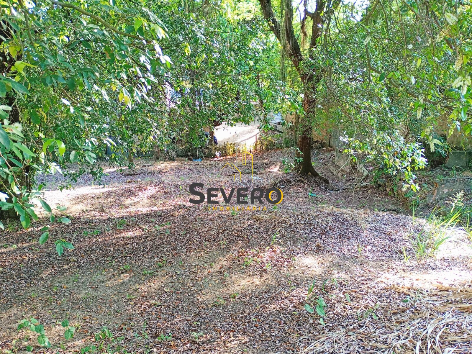 Terreno, 1800 m² - Foto 5