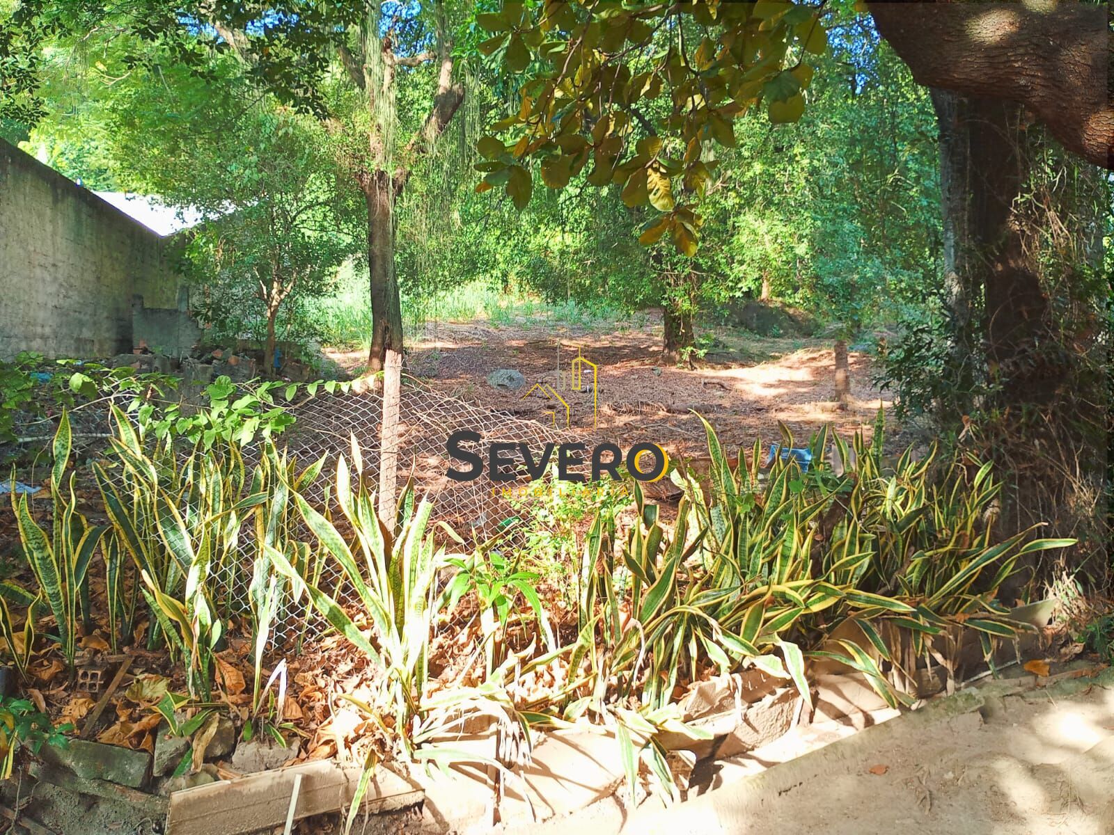 Terreno, 1800 m² - Foto 4