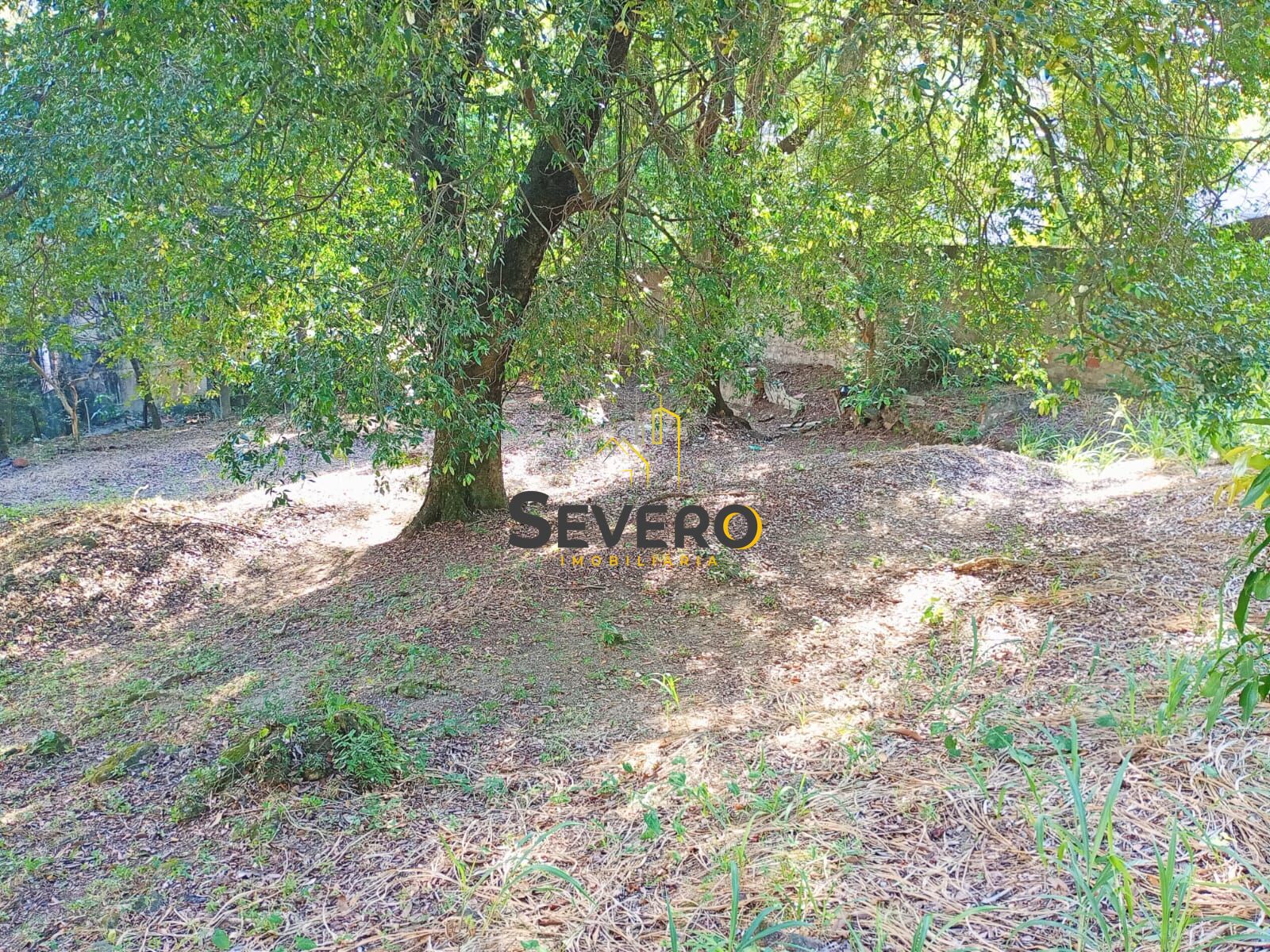 Terreno, 1800 m² - Foto 9