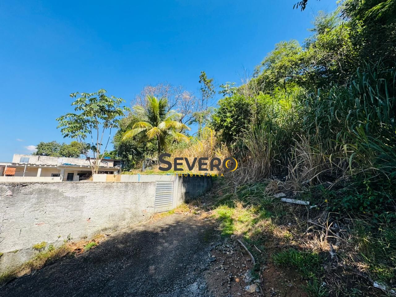 Terreno, 1 hectares - Foto 8