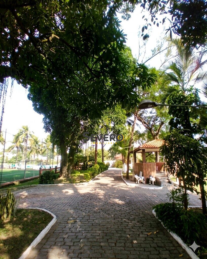 Chácara, 2 hectares - Foto 13