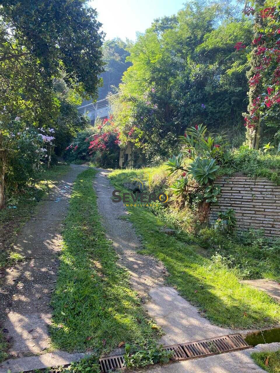 Fazenda à venda com 4 quartos, 60000m² - Foto 6