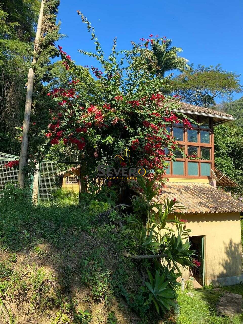 Fazenda à venda com 4 quartos, 60000m² - Foto 4