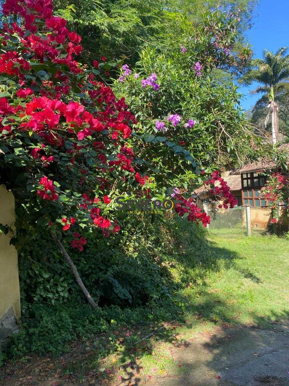 Fazenda à venda com 4 quartos, 60000m² - Foto 7