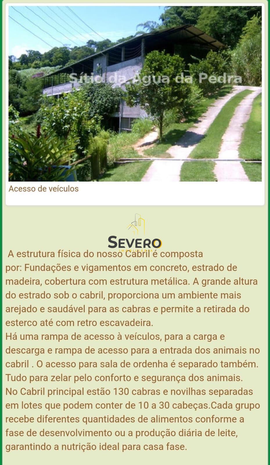 Fazenda à venda com 4 quartos, 60000m² - Foto 29