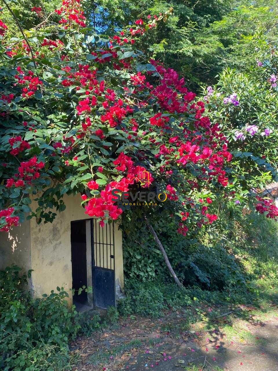 Fazenda à venda com 4 quartos, 60000m² - Foto 24