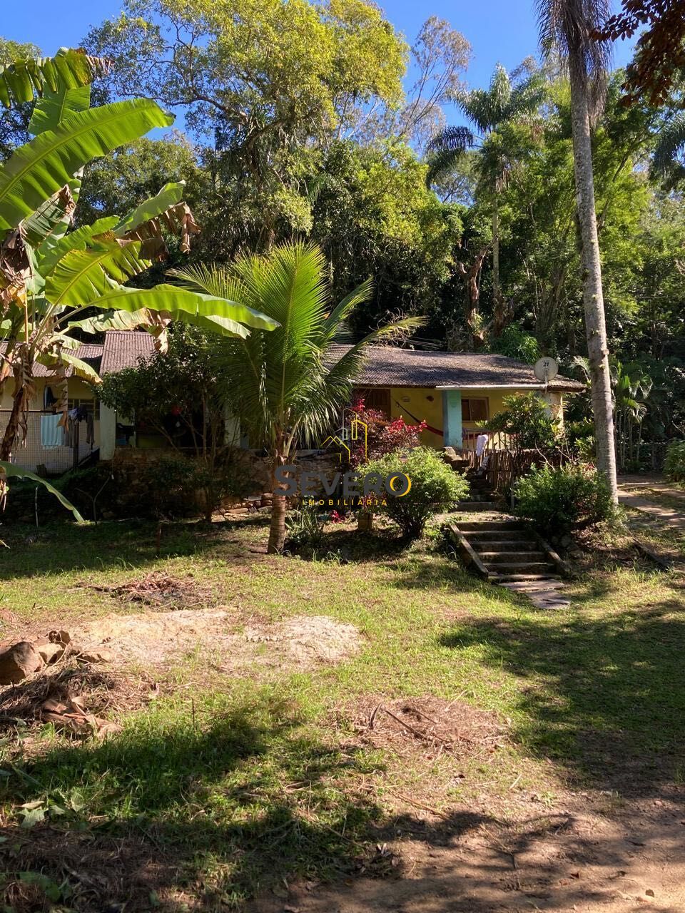 Fazenda à venda com 4 quartos, 60000m² - Foto 9