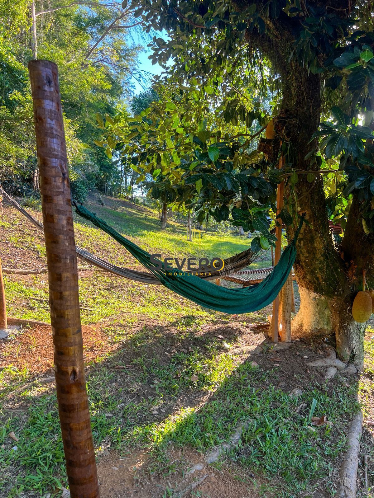 Chácara, 5 quartos, 5 hectares - Foto 9