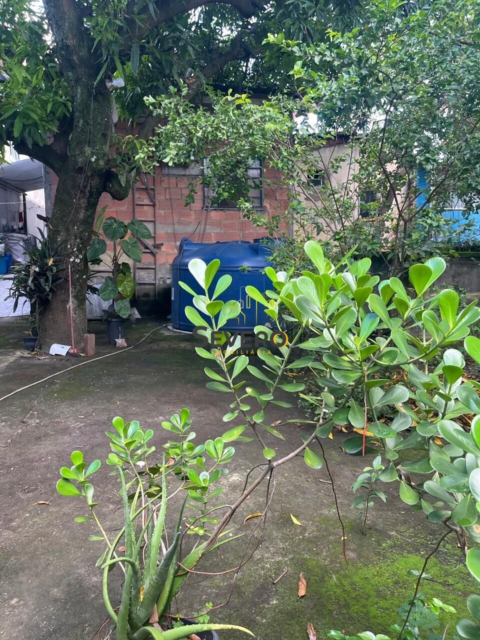 Casa, 3 quartos, 360 m² - Foto 16