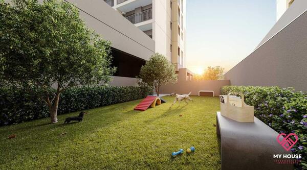 Como organizar um espaço pet no seu apartamento