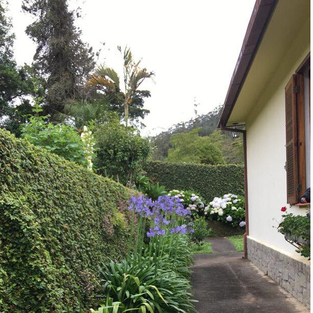 Roberto Hamacher Attademo