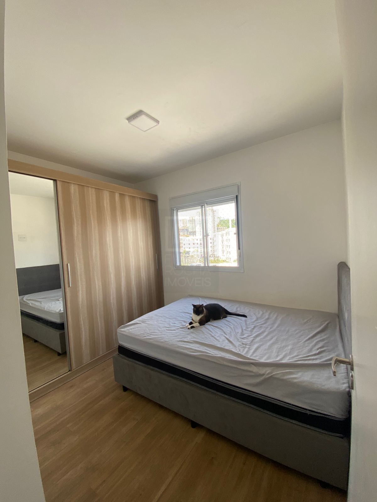 Apartamento, 3 quartos, 50 m² - Foto 9